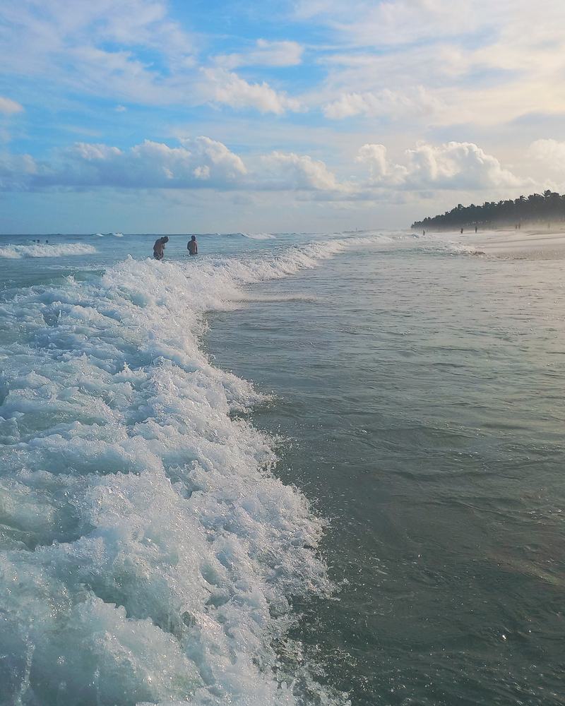 Onda quebrando na Praia do Francês, em Marechal Deodoro, com coqueiral ao fundo