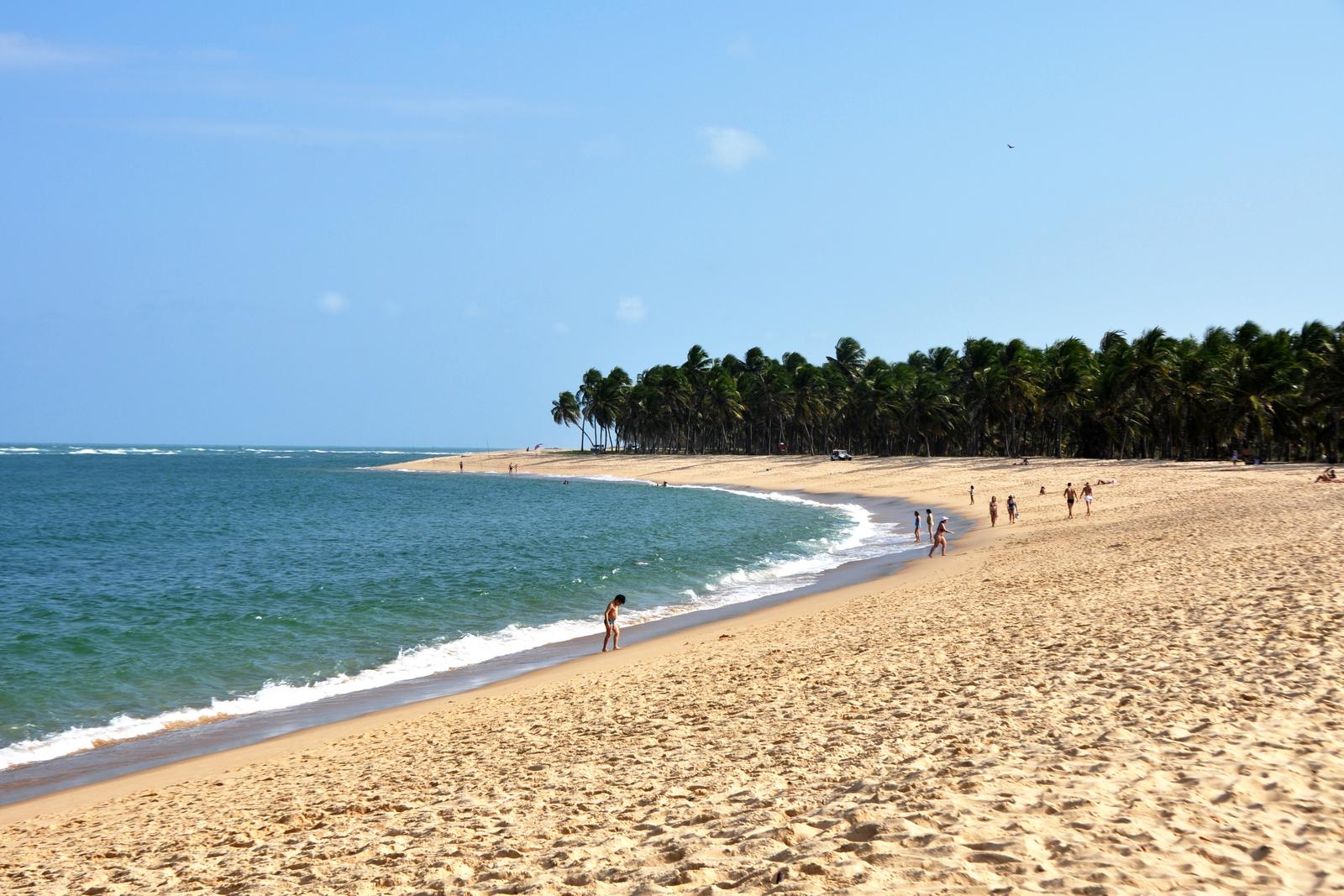 Praia do Gunga: faixa de areia curvando para o mar, com coqueiral ao fundo