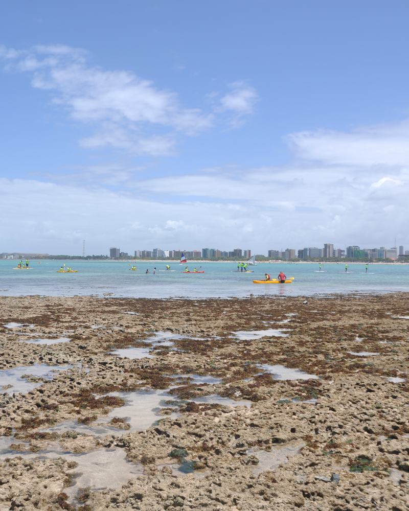 Recife exposto na maré baixa na Ponta Verde, com a orla de prédios de Maceió ao fundo