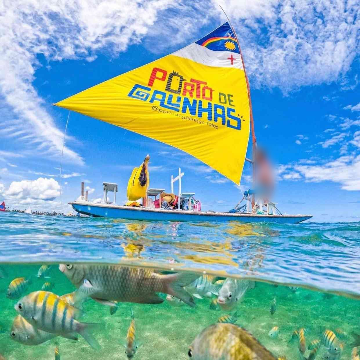 Jangada vista da água com peixes nadando logo abaixo da superfície, nas piscinas naturais