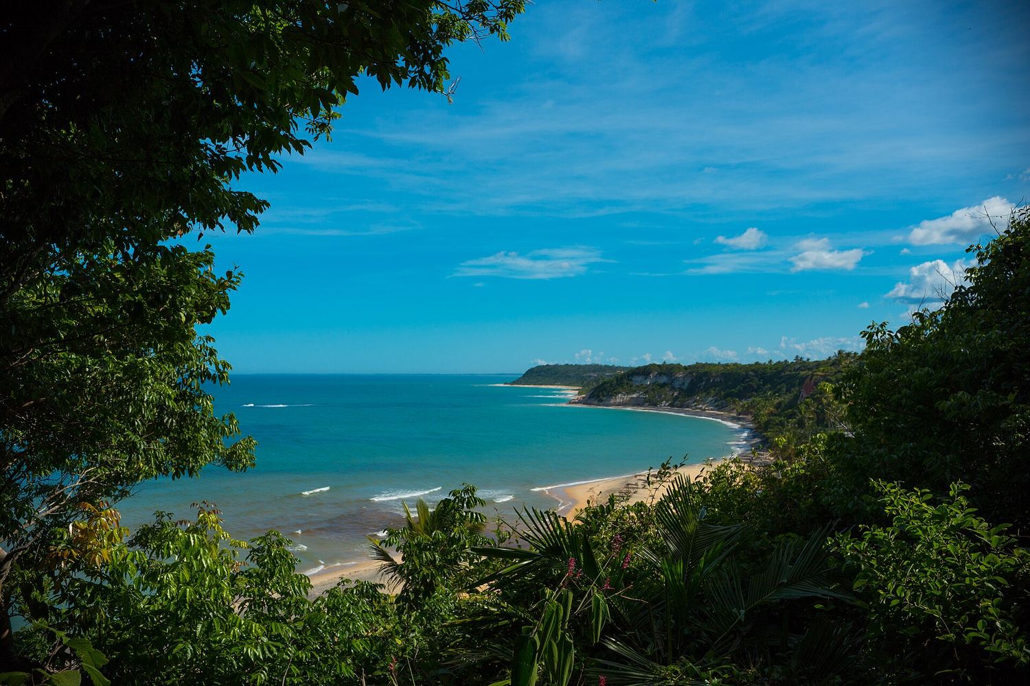Enseada de mar turquesa vista do alto da falésia na Praia do Espelho, com vegetação em primeiro plano